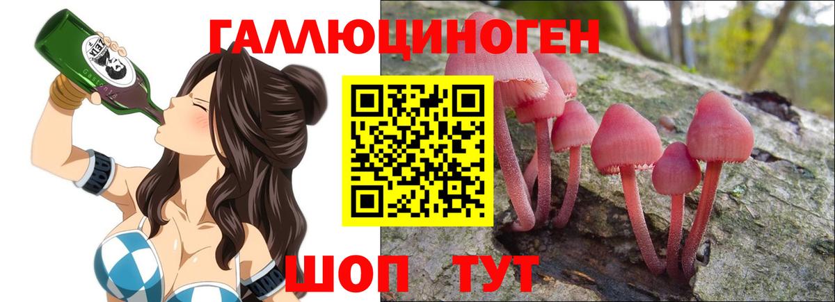 Псилоцибиновые грибы Psilocybine cubensis Кудымкар