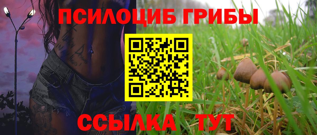 Галлюциногенные грибы GOLDEN TEACHER  Вход с VPN  Кудымкар 